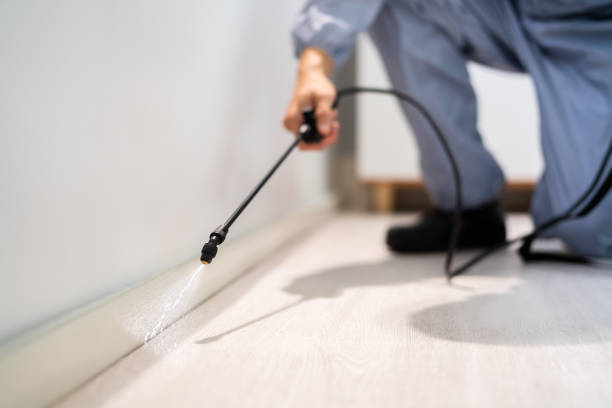 Licensed Pest Control service in Denton, NC - Show Me Pest Control