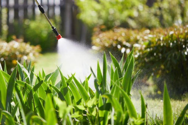 Tamper-Resistant Bait Stations for Rodents in Denton