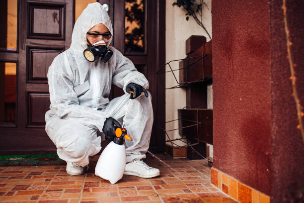 Attic and Crawl Space Rodent Treatment in Denton